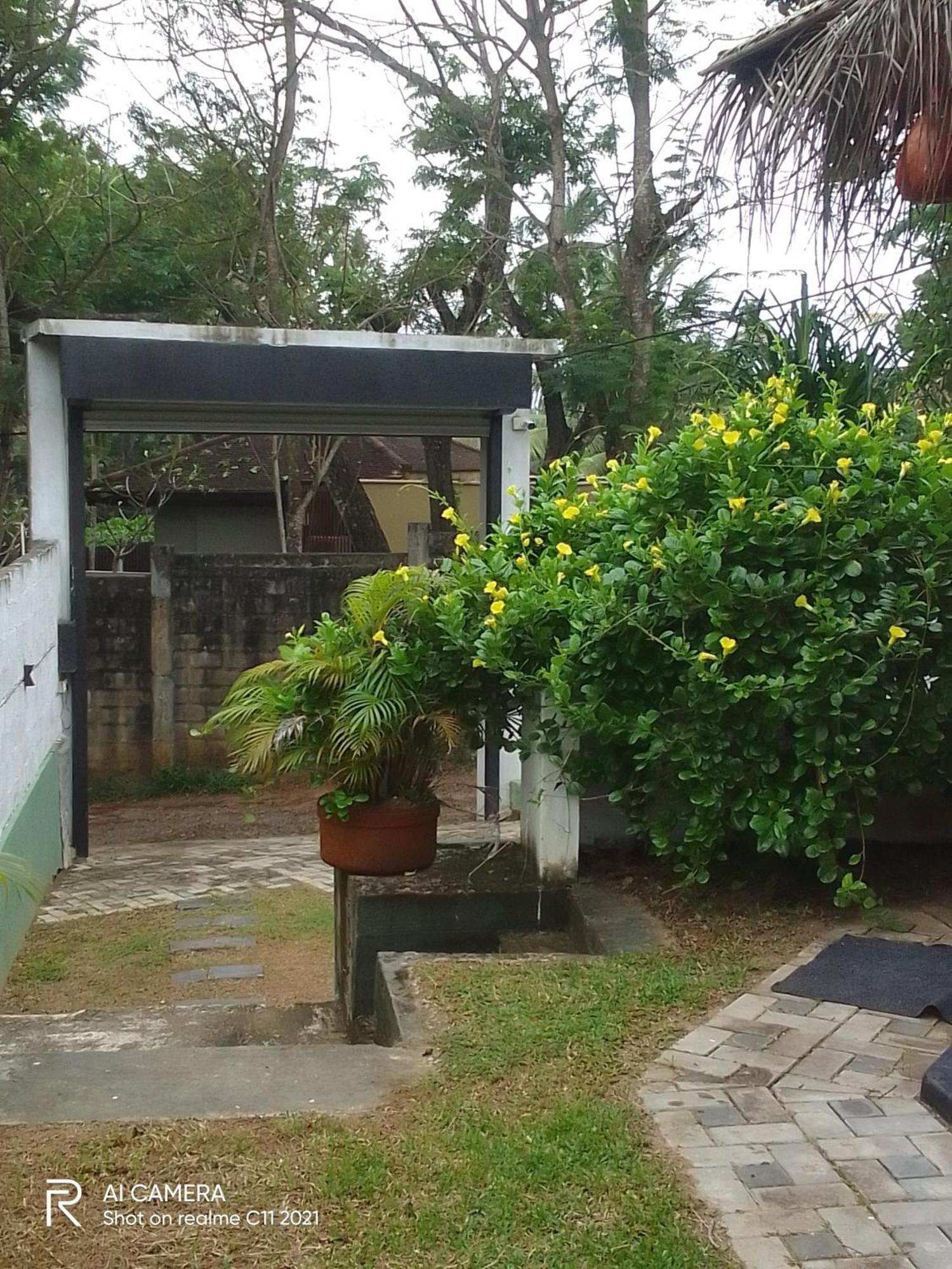 タンガラ Peacock Garden Bed & Breakfast 部屋 写真